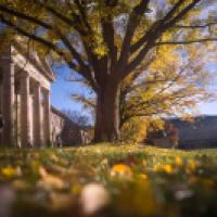 Goldwin Smith Hall in fall