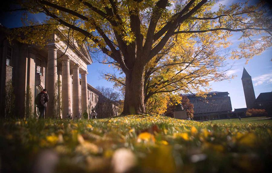 Goldwin Smith Hall in fall