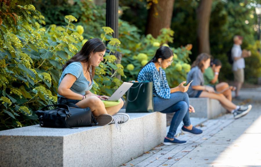 Students studying on Ho Plaza in summer