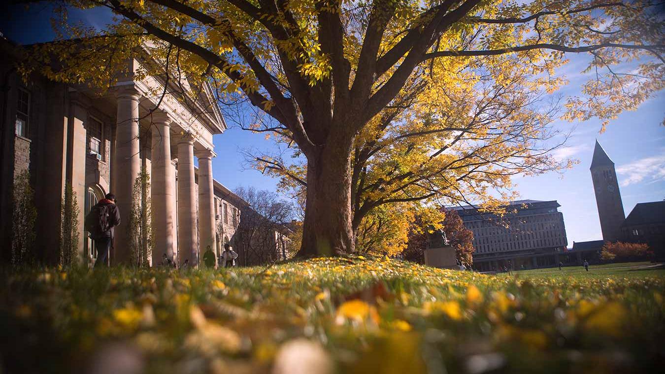 Goldwin Smith Hall in fall