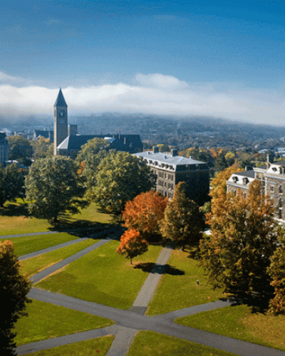 Arts Quad