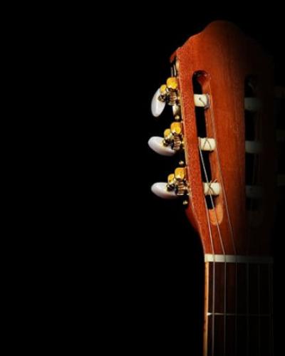 guitar neck